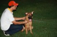 /album/especializada-p-a-zulia-juez-b-webber/acppav2-jpg/