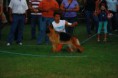 /album/especializada-p-a-zulia-juez-b-webber/acppav7-jpg/